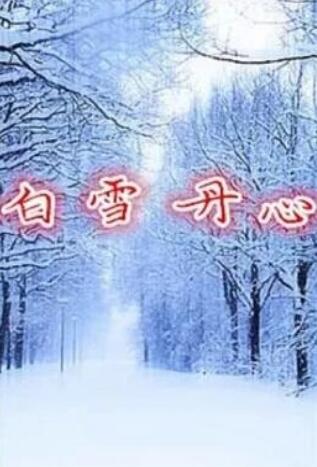 白雪丹心}